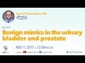 Benign mimics in the urinary bladder & prostate - Dr. Williamson (Henry Ford) #GUPATH