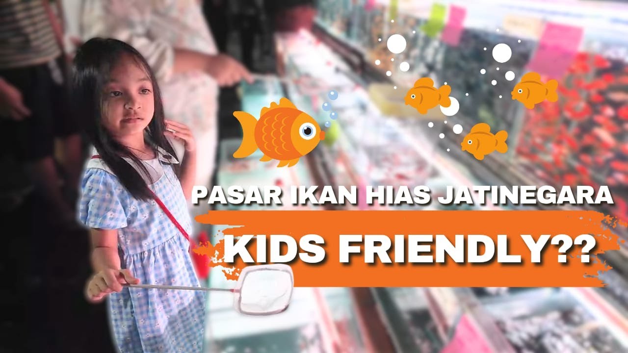 MALAM MINGGU DI PASAR IKAN HIAS JATINEGARA, ADA APA AJA DISINI? - FAVMILYDAILY