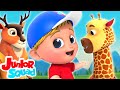 Canção zoológico | Musica para bebes | Educação | Junior Squad Português | Desenhos animado