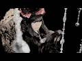 Asriel - Resurrection [MV]
