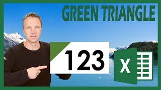 Convert Text to Numbers in Excel - Green Triangle
