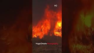 💔 ESPAÑA BAJO ASEDIO POR EL FUEGO 🔥 Más de 6.000 HÉROES y la UME luchando contra 40 INCENDIOS 🚒