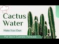 How to Make Your Own Cactus Water for use in Cosmetic Formulations