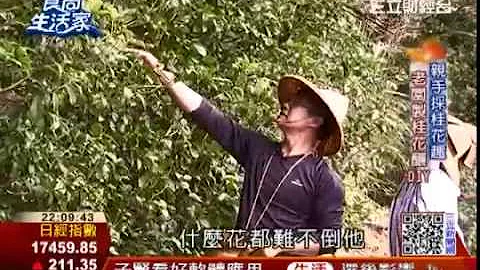 食尚生活家：石碇桂花香 桂花大餐口水直流 | 食尚生活家 | 三立財經台CH88 - 天天要聞