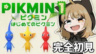 ねぇね。の配信のサムネイル画像