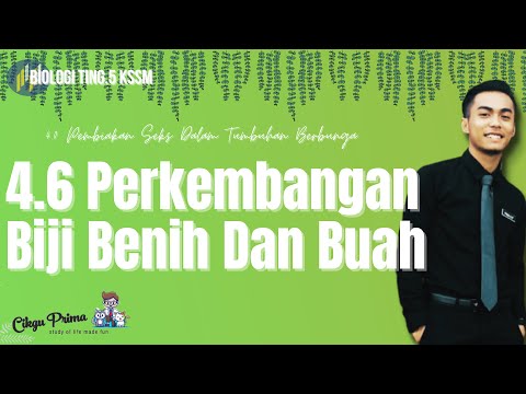 Video: Digitalis Ungu (27 Foto): Keterangan, Tumbuh Dari Biji, Penyakit Dan Perosak, Pembiakan