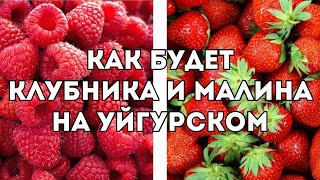 Strawberry and Raspoberry in the Uyghur Language