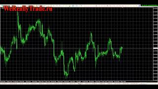 видео Мониторинг Счета mt4