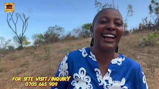 Download Lagu MŨTUMIA WA WANJOHI KUONA WĨRA MOMBASA ~ AKENYA KŨGARŨRA MŨTURĨRE WAKE  MP3