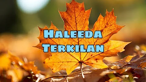 Haleeda - Terkilan