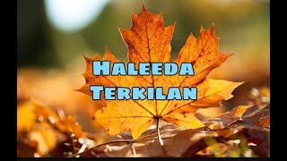 Haleeda - Terkilan