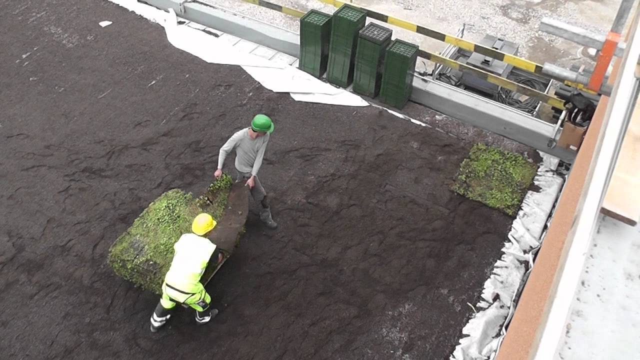 ⁣Этапы возведения зеленой кровли Greenskin