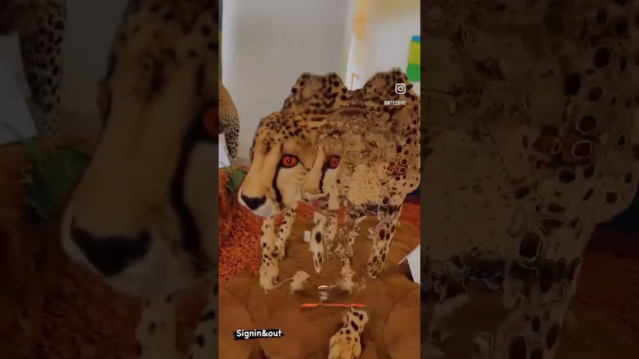 #visitrwanda #advanture #kigali #subscribe #youtubeshorts