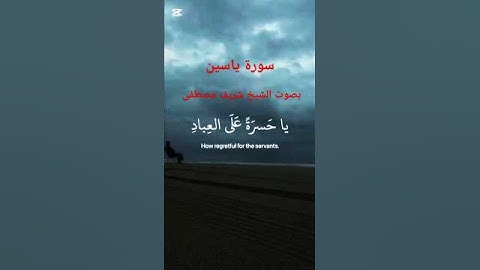 سورة ياسين - بصوت الشيخ شريف مصطفى - تلاوة خاشعة😌❤️
