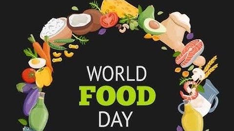 ZERO HUNGER - A Short Documentary (World Food Day)