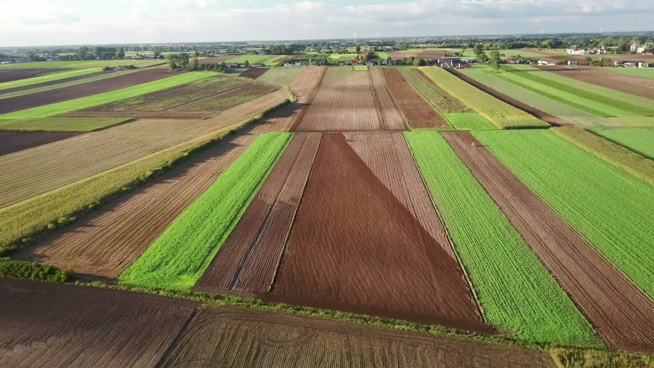 Siejemy pszenice, nawozy + uprawa w szage! Ursus C330 Power! Engine Sound!