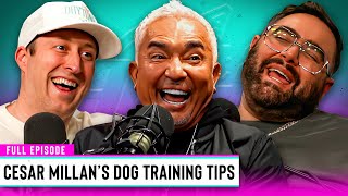 Cesar Millan Shares The Secret To Picking The Perfect Dog | Out & About Ep. 267