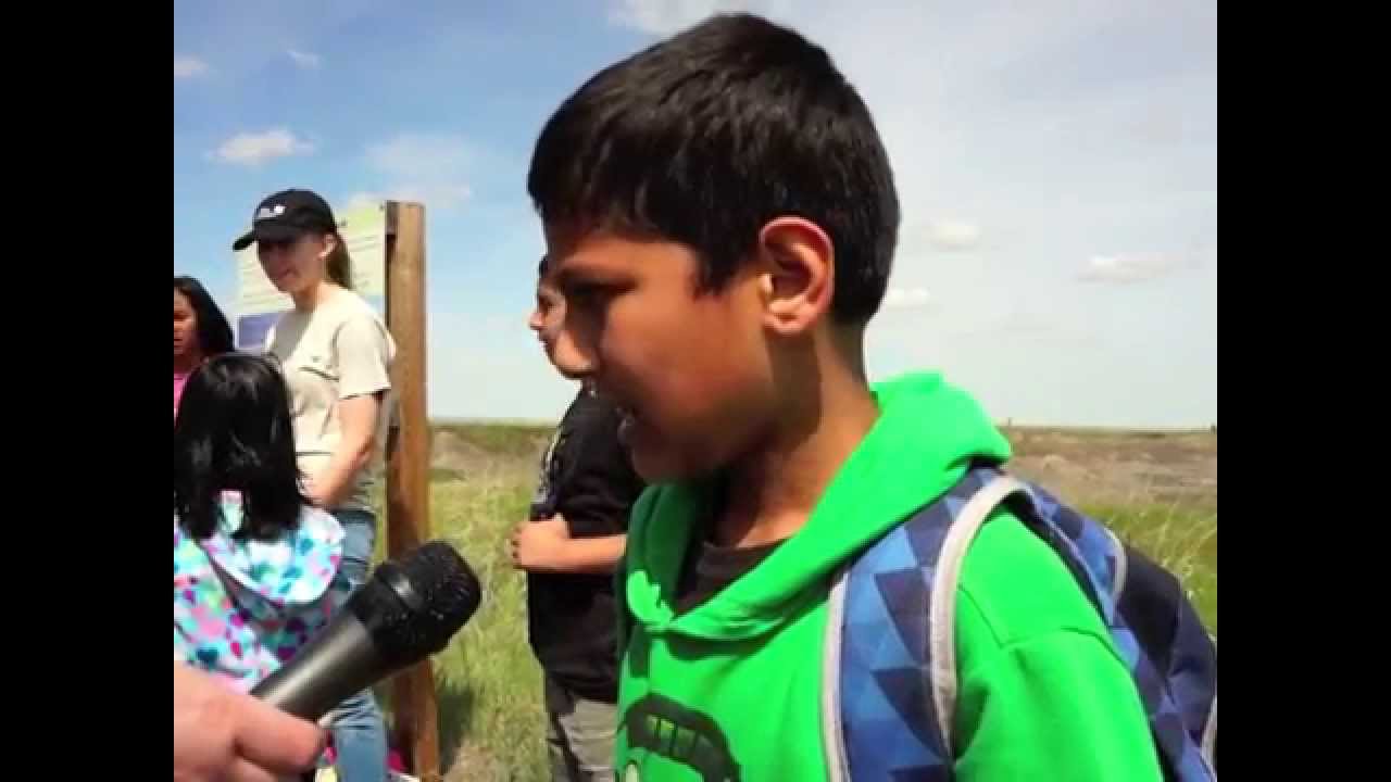 nature kpop What nature means to me