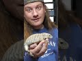 Lulu looves her salad! #vlog #reptiles #fyp
