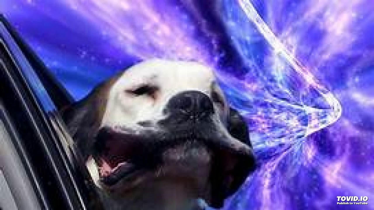 Space Dogg - Transcribed