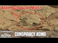 Unintentional ASMR 🪐 Proof of Life on Mars? Alien Technology? 👽 Soft Spoken Conspiracy Theorist