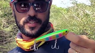 Pugachev's Cobra 90 - IMA