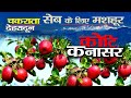 Chakrata Tourism (2020) | Dehradun | महकते हुए सेबों का वो गांव जहां होता है Apple Tourism