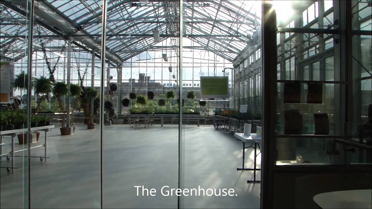 Downtown Market in Grand Rapids, MI YouTube