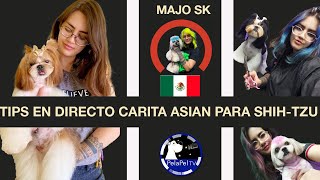 Cómo cortar el pelo a un perro SHIHTZU, TIPS EN DIRECTO DE CARITAS  bonitas con MAJO SK