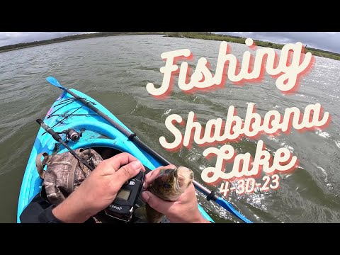 Video: Jaké ryby jsou v jezeře Shabbona?