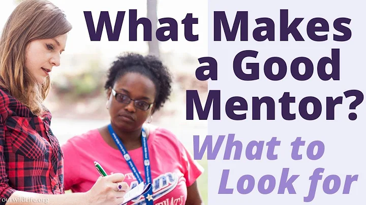What Makes a Good Mentor?