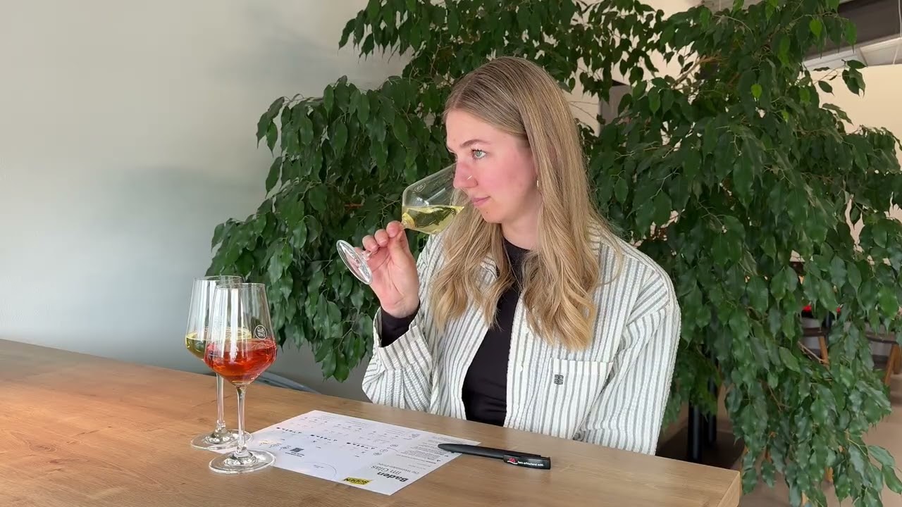 video preview image