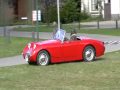 Austin Healey  kikkeroog