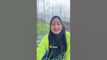 Basmi Serangan Ulat pada Bawang Merah dengan Cimegra!