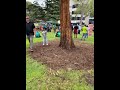 Cricket lovers enjoying pak vs Aus | raining #cricket #viral #lego #youtubeshorts #car