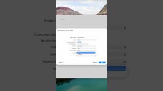 Xcode обучение – создание проекта