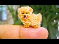 20 Smallest Dog Breeds In The World