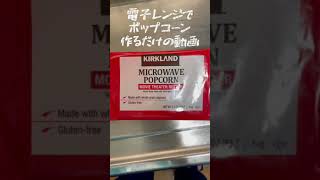 電子レンジでポップコーン作るだけのしょうもない動画