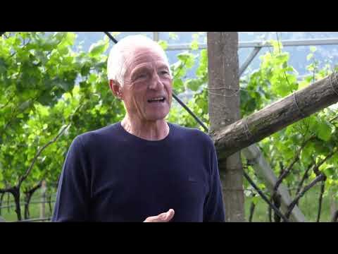 Франческо Мозер