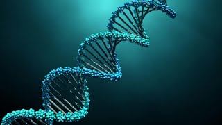 Gene Expression