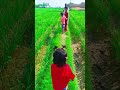 mujhi Darti z_#viral #shorts #trending #wajiddilmurad #funny #cutebaby #cute #viralmoment #viralstor