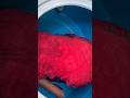 Tanky clean kora hochhe #youtubeshorts #bangaliblog #bengaliblogging #vlog