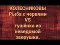 Семья Колесниковых/Новости из Дворца.