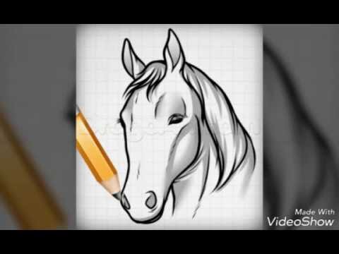 How to Draw Horse Heads and faces - YouTube