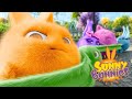 Sunny Bunnies | avventura circense | Cartone animato divertente per i bambini | WildBrain