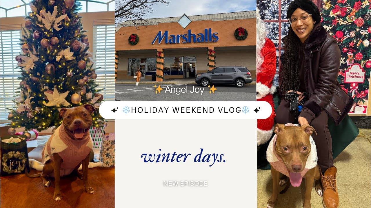 ❄️ Holiday Weekend Vlog ❄️: Christmas Shopping 🎄| Home Reset 🏠| Nighttime Routine ✨