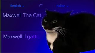Maxwell The Cat in different languages meme