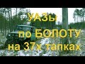 Что может УАЗ на 37" тапках на болоте!