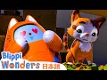 ねこのひげ | ブリッピーワンダーズ | 子供向け動画 | 人気アニメ
