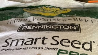 Pennington Elite Tall Fescue Seed from Super Sod - Fall Cool Season Lawn Overseed!